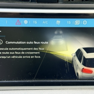 CITROËN C4 PICASSO CITROEN C4 PICASSO II (2) 1.6 BLUEHDI 120 S&S SHINE EAT6